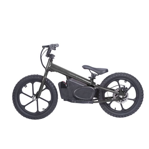 16" Travis Balance EL-cykel 13/24 km/t KAMPAGNE